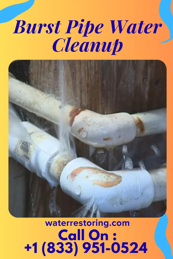 Burst Pipe Water Cleanup in Oyster Bay Cove, NY