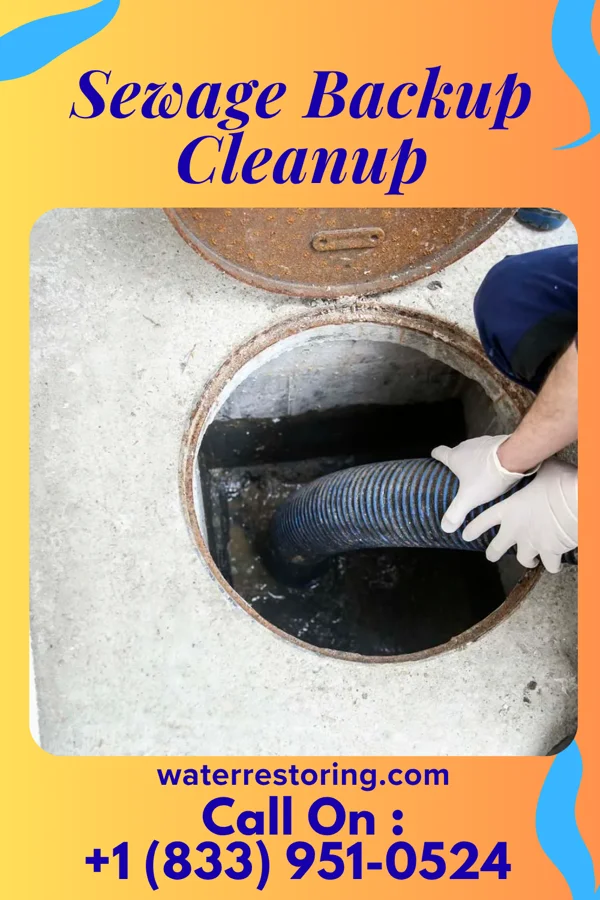 Sewage Backup Cleanup in Oyster Bay Cove, NY