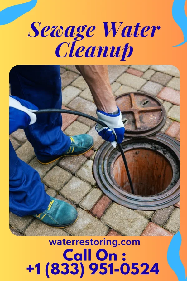 Sewage Water Cleanup in Oyster Bay Cove, NY