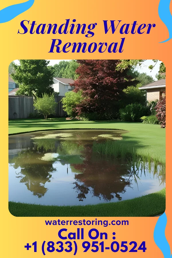 Standing Water Removal in Oyster Bay Cove, NY